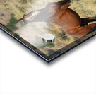 Nevada Mustang 2 2 Impression Acrylique