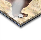 Nevada Mustang 2 3 Impression Acrylique