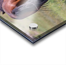 Nevada Wild 14 1 Impression Acrylique