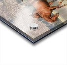 Nevada Wild 15 1 Impression Acrylique