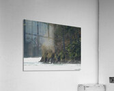 Oregon Coast 1 Acrylic Print