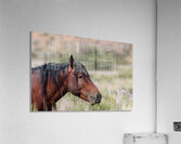 Nevada Virginia Range Series 1 Acrylic Print