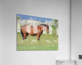 Nevada Virginia Range Series 8 Acrylic Print