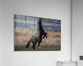 Nevada Virginia Range Series 22 Acrylic Print