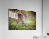 Nevada Virginia Range Series 30 Acrylic Print