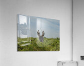 Marietta Wild Burro Range HMA 1 Acrylic Print