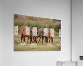 Nevada wild  Series VR1 1 Acrylic Print