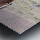 Wild Horse Nevada Series 8 Metal print