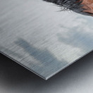 Wild  Horse Nevada Series 2 Metal print