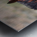 Nevada Virginia Range Series 1 Metal print