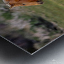 Nevada Virginia Range Series 12 Metal print