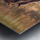 Nevada Virginia Range Series 34 Metal print