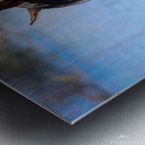 Nevada Virginia Range Series 36 Metal print