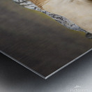 Mono Lake Wild Horse Series 1 Metal print