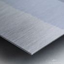 Mono Lake Wild Horse Series 1 Impression metal