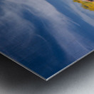 Mono Lake Wild Horse Series 1 Metal print