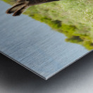 Marietta Wild Burro Range HMA 1 Metal print