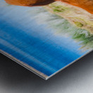 Nevada wild 6 Impression metal