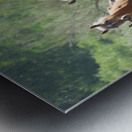 Nevada wild 2 1 Impression metal