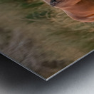 Nevada wild  Series VR1 1 Metal print