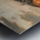 Nevada Mustang Series 16 1 Metal print