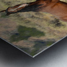 Nevada Mustang 2 2 Impression metal