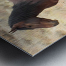 Nevada Mustang 2 3 Impression metal