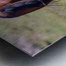 Nevada Wild 14 1 Impression metal