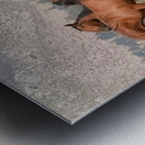 Nevada Wild 15 1 Impression metal