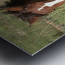 Nevada Wild 16 1 Metal print