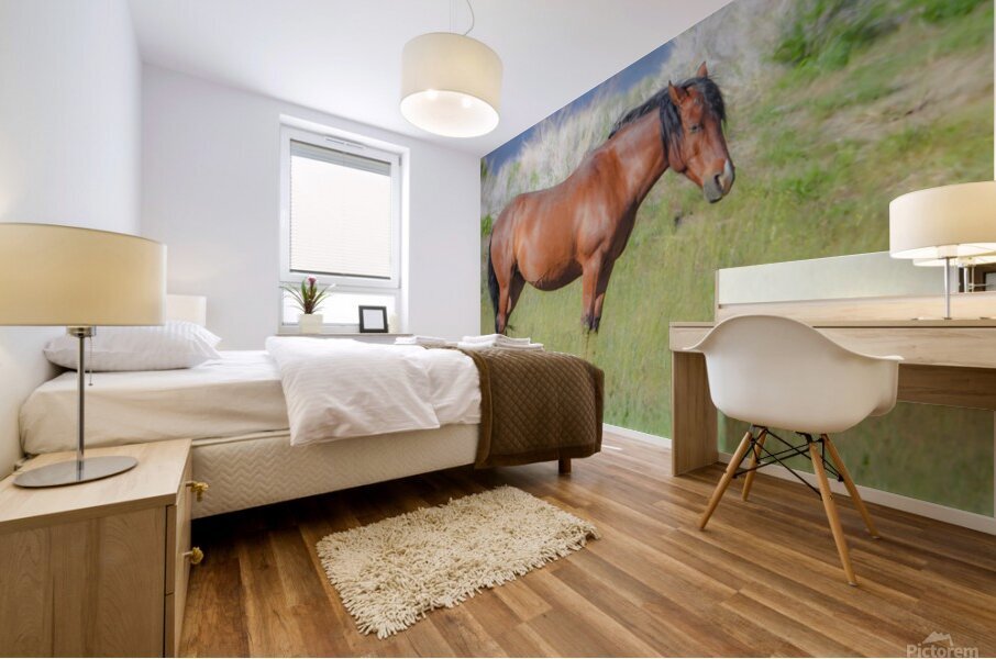 Nevada Virginia Range Series 8 Mural print