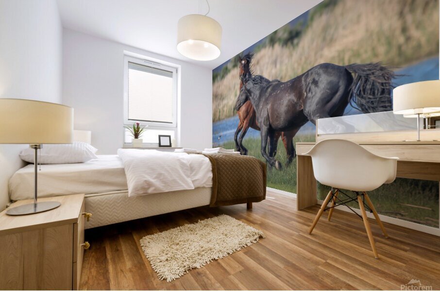 Nevada Virginia Range Series 26 Mural print