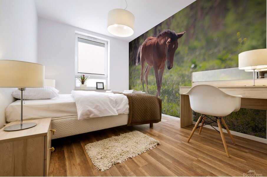 Nevada Virginia Range Series 30 Mural print