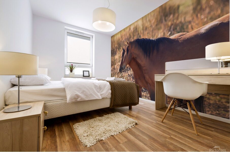 Nevada Virginia Range Series 34 Mural print