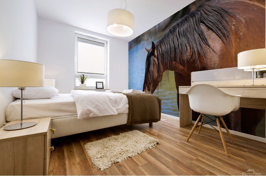 Nevada Virginia Range Series 36 Mural print