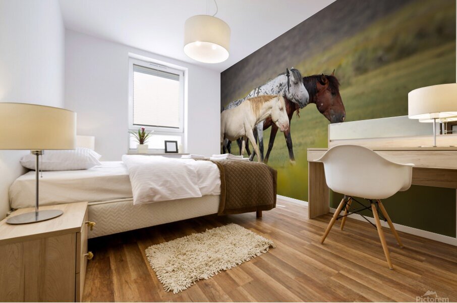 Mono Lake Wild Horse Series 1 Mural print