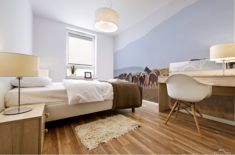 Mono Lake Wild Horse Series 1 Impression murale