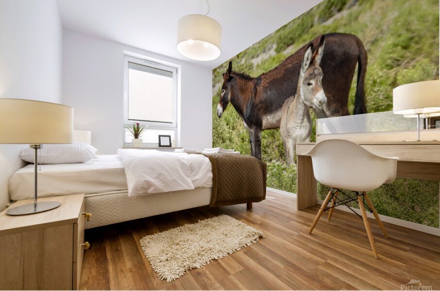 Marietta Wild Burro Range HMA 1 Mural print