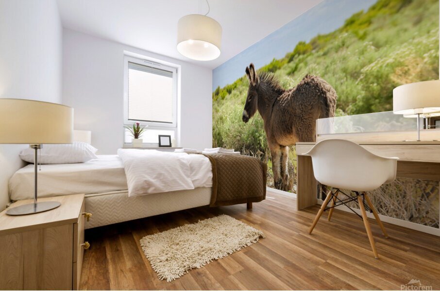 Marietta Wild Burro Range HMA 1 Mural print