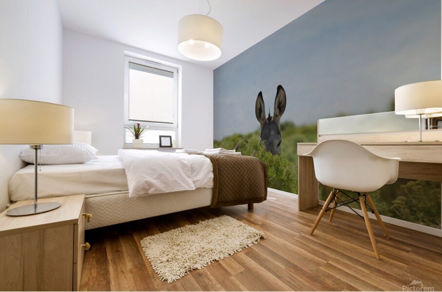 Marietta Wild Burro Range HMA 1 Mural print