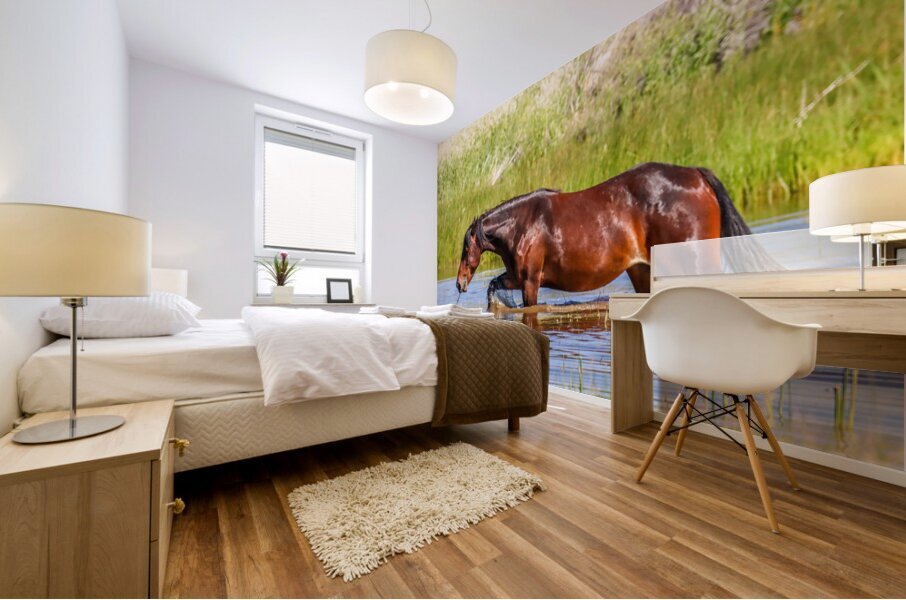 Nevada Mustang 1 4 Impression murale