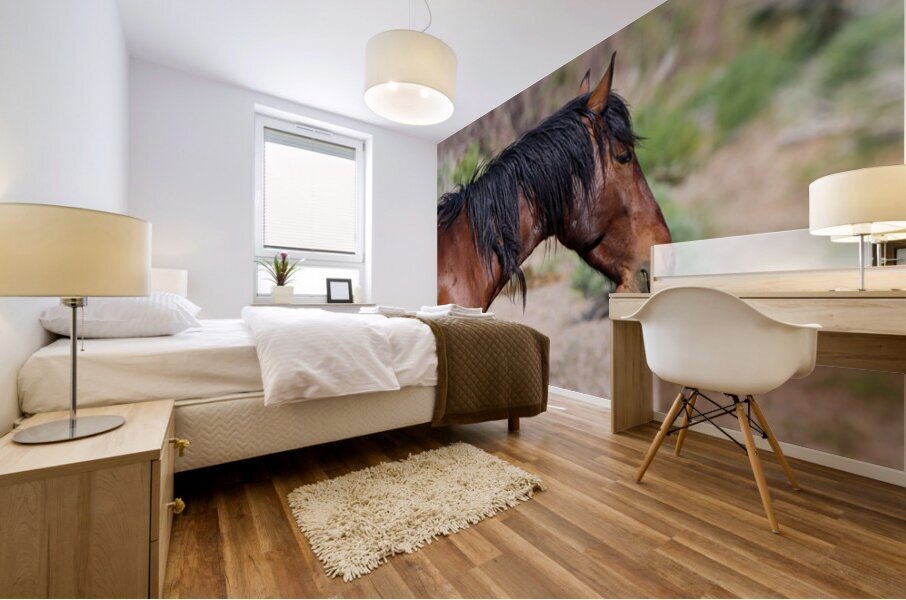 Nevada Mustang 2 4 Mural print