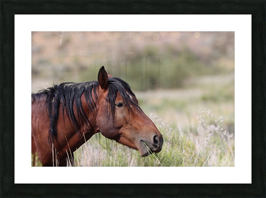 Nevada Virginia Range Series 1 Picture Frame print