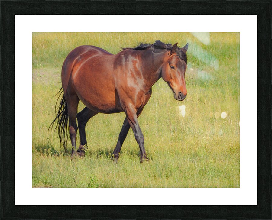 Nevada Virginia Range Series 6 Picture Frame print