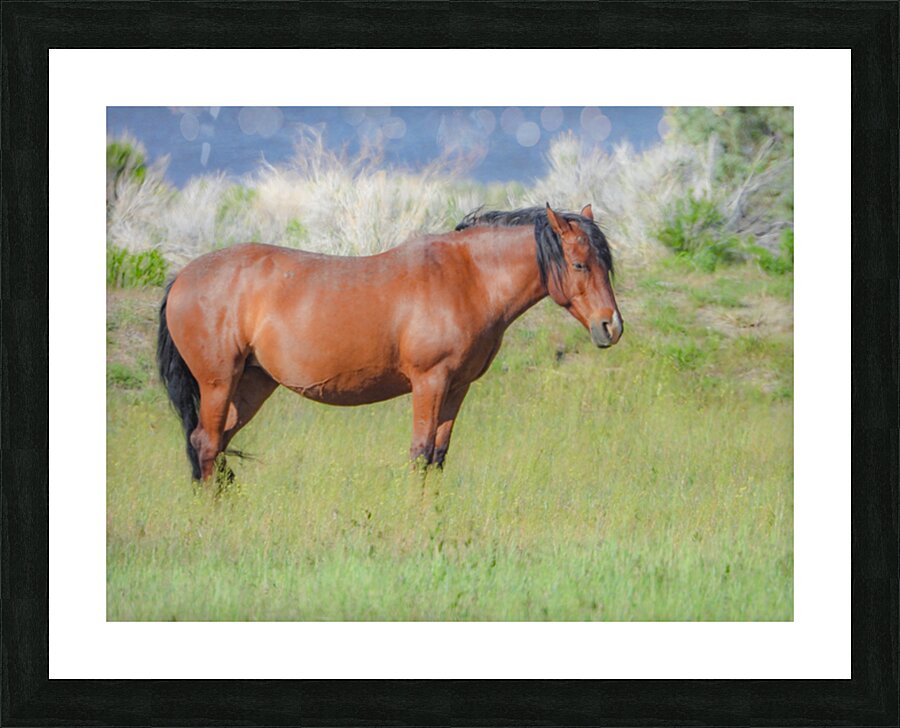 Nevada Virginia Range Series 8 Picture Frame print