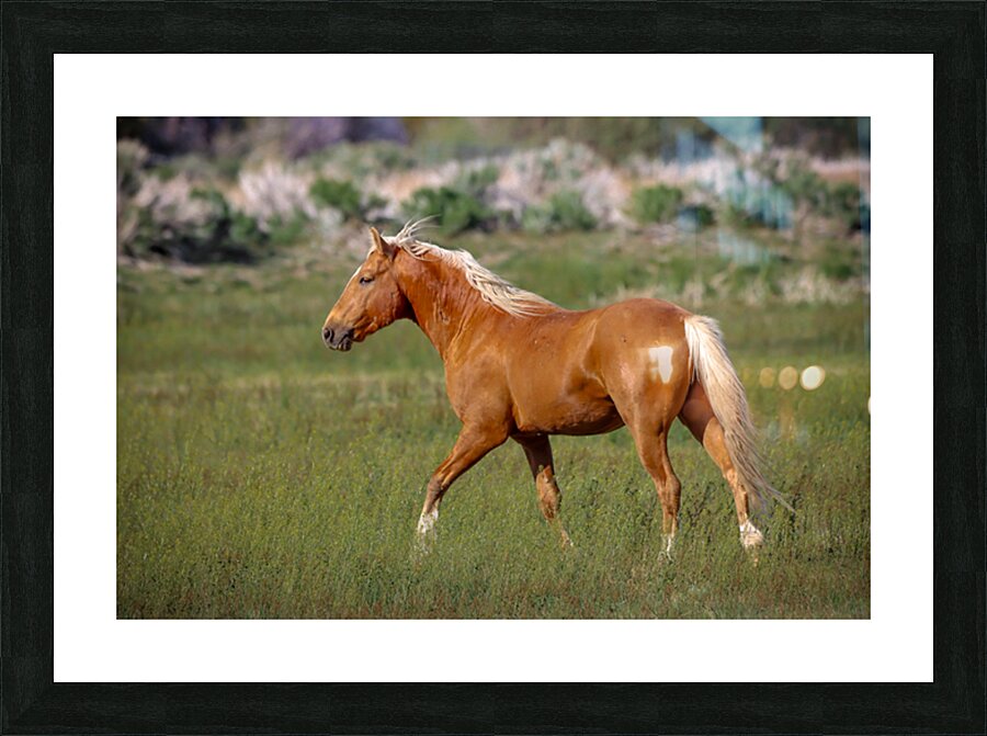 Nevada Virginia Range Series 12 Picture Frame print