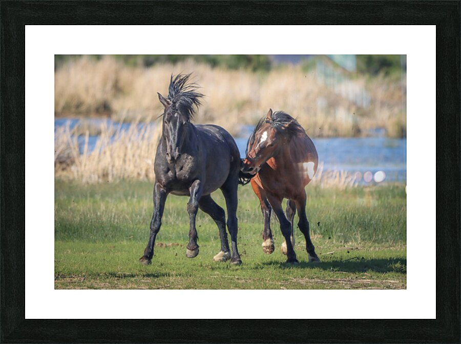 Nevada Virginia Range Series 18 Picture Frame print