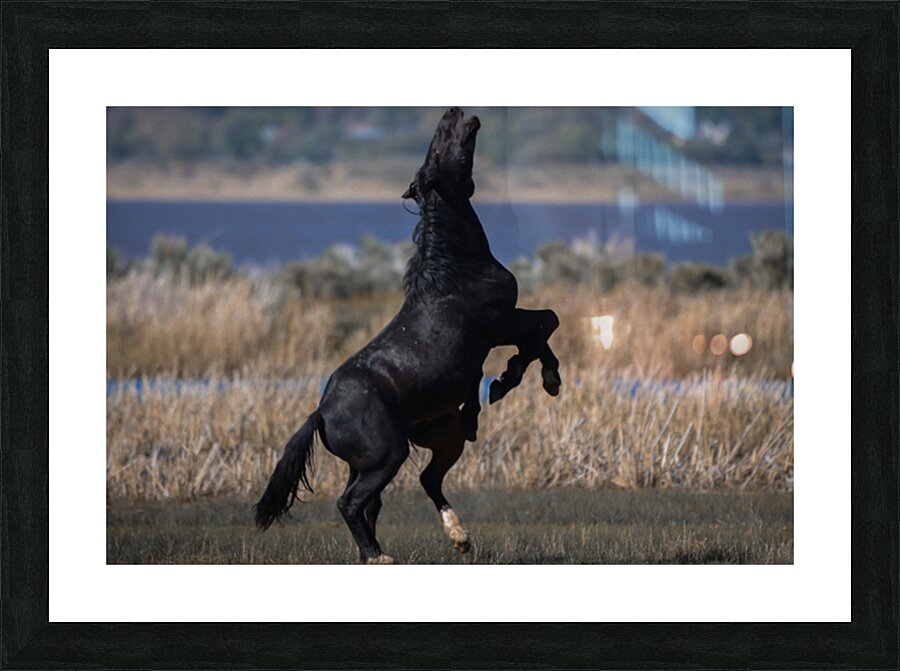 Nevada Virginia Range Series 22 Picture Frame print