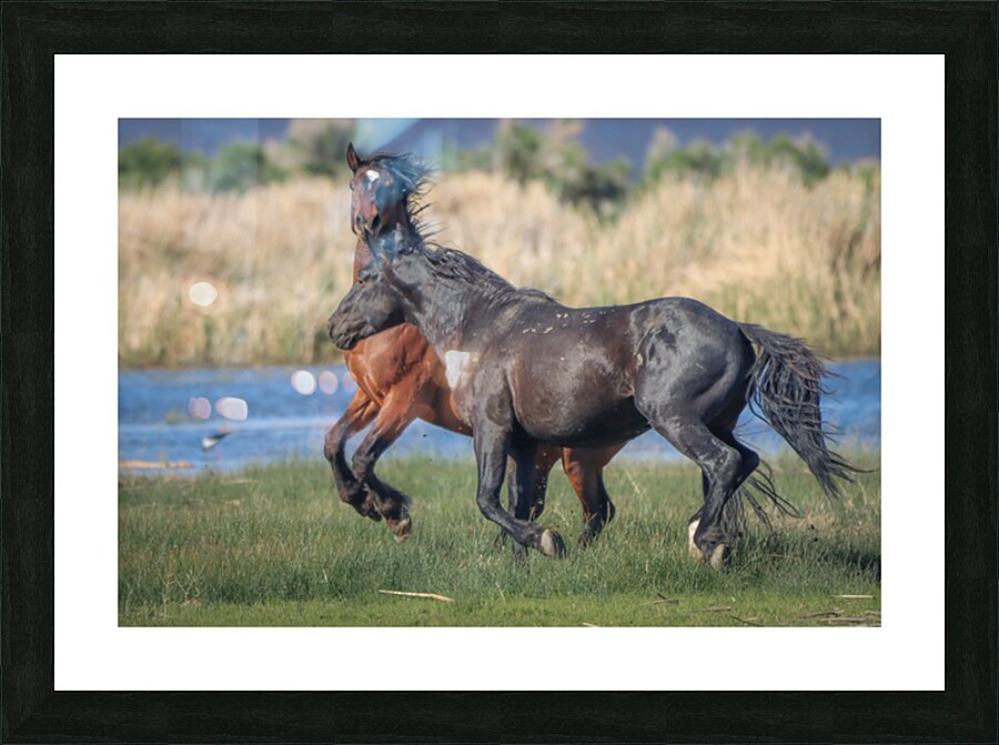 Nevada Virginia Range Series 26 Picture Frame print