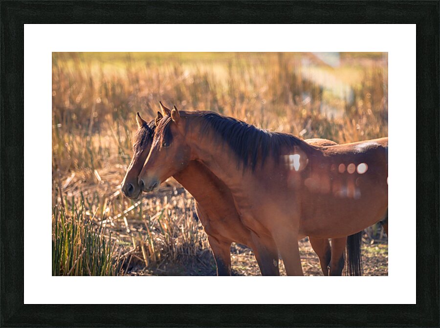 Nevada Virginia Range Series 34 Picture Frame print